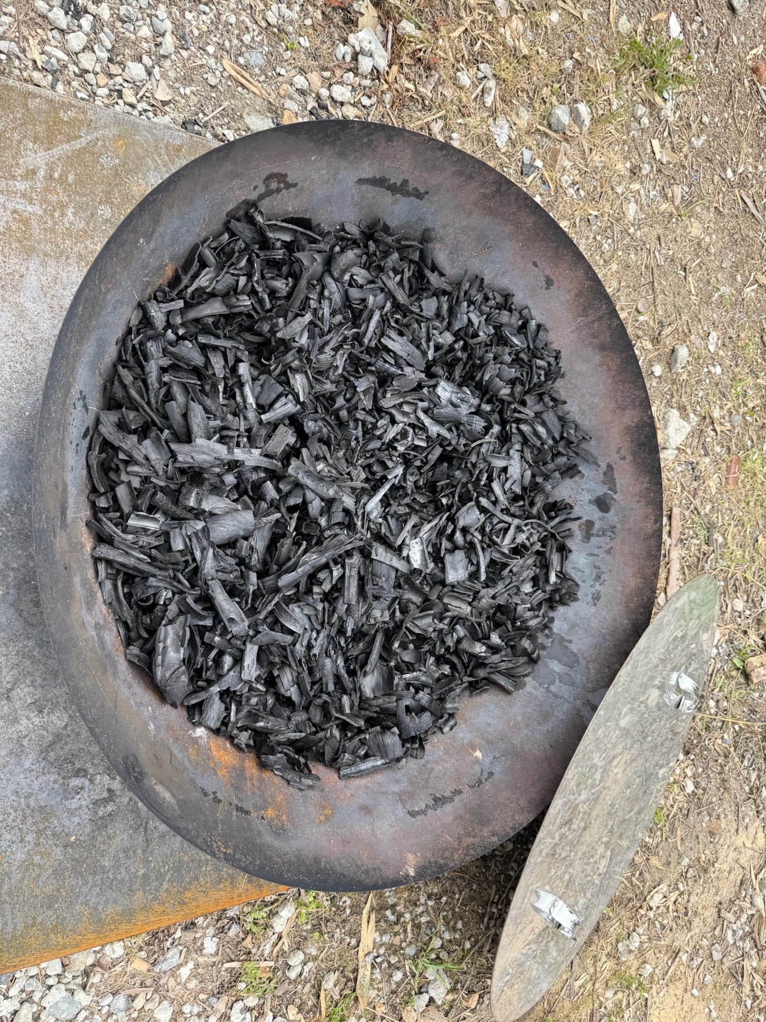 Shii Charcoal — 30cm