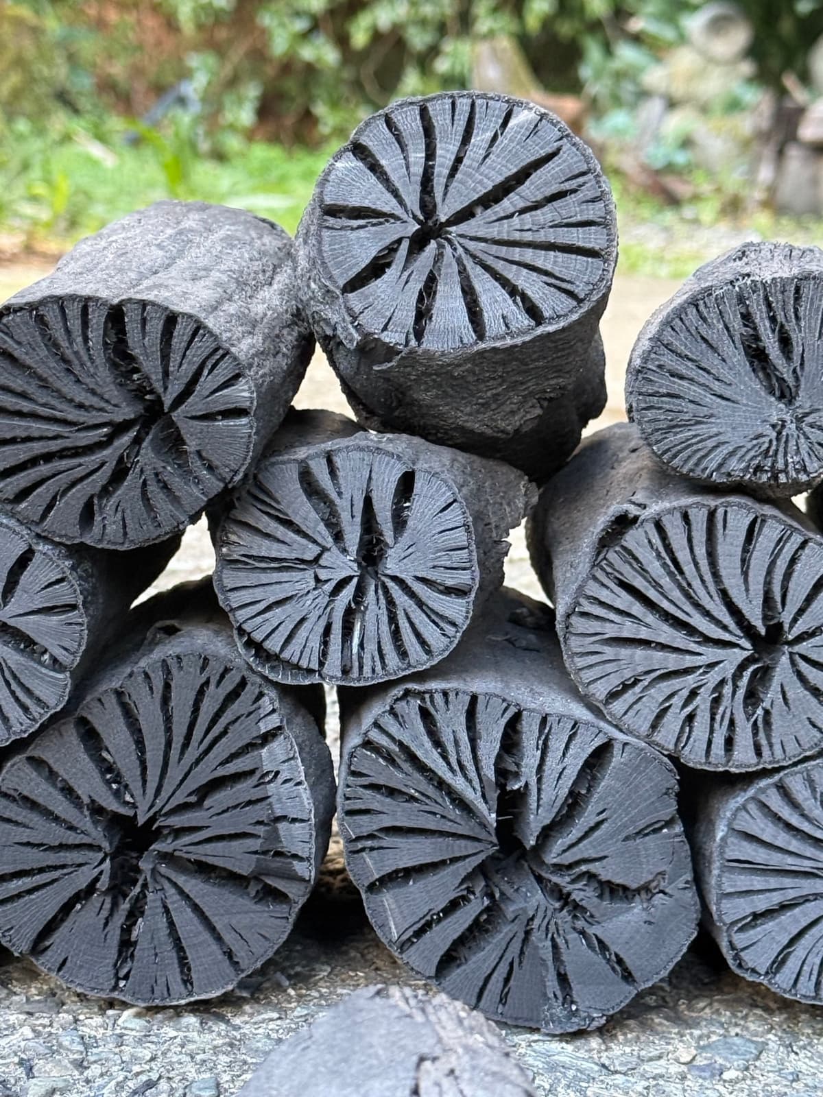 Premium Oak BBQ Charcoal