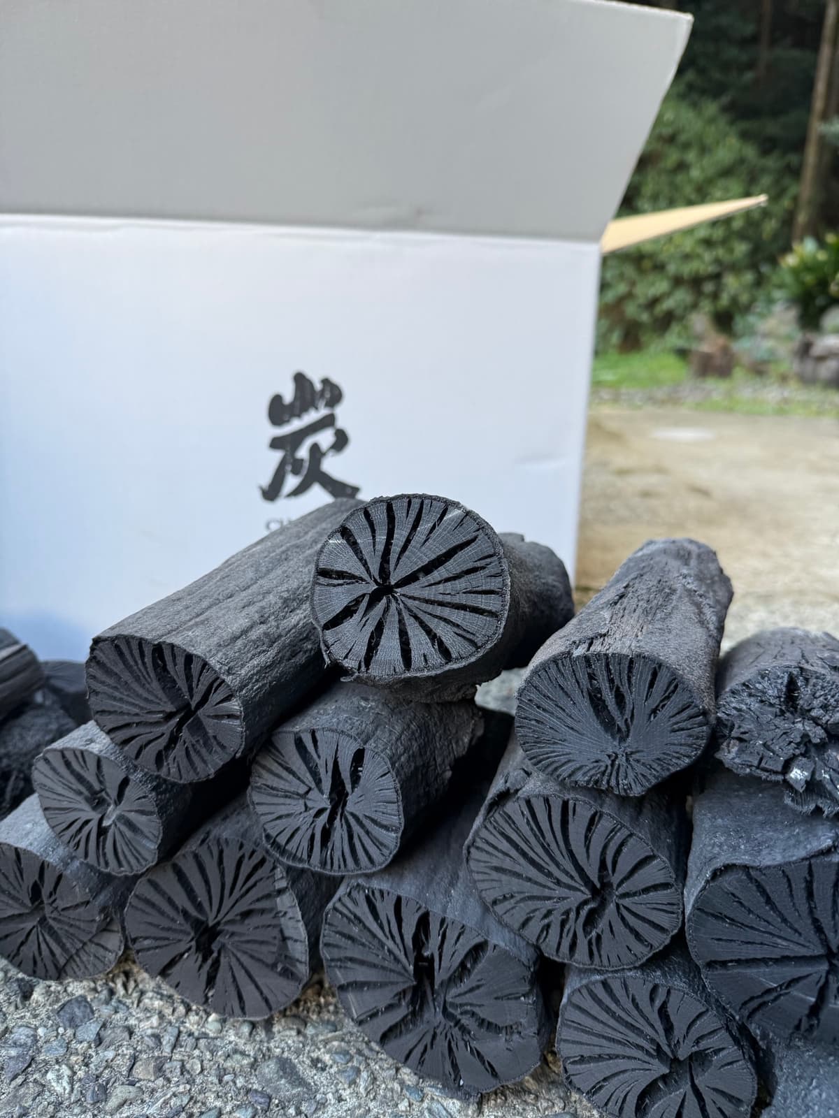 Kashi Oak Charcoal — Small Cut